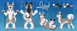 Size: 1280x528 | Tagged: safe, artist:iceshadow13, oc, oc only, oc:cloud the husky, canine, dog, husky, mammal, anthro, digitigrade anthro, feral, 2019, abstract background, black body, black fur, blue eyes, brown eyes, butt, butt fluff, character name, cheek fluff, claws, color palette, curled tail, digital art, duality, ear fluff, fluff, front view, fur, gray body, gray fur, heterochromia, lying down, male, neck fluff, on back, open mouth, paw pads, paws, rear view, reference sheet, side view, smiling, solo, solo male, standing, tail, tail fluff, tongue, tongue out, underpaw, white body, white fur