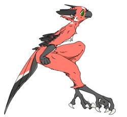 Size: 900x833 | Tagged: dead source, safe, artist:521kan, oc, oc only, oc:521kan, bird, parrot, anthro, 2019, bird feet, black feathers, chest fluff, claws, digital art, feathers, fluff, gray body, green eyes, male, pink body, simple background, solo, solo male, tail, tail feathers, white background, white feathers