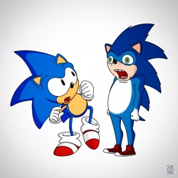 Size: 1954x1954 | Tagged: safe, artist:chongster62, sonic the hedgehog (sonic), hedgehog, mammal, anthro, sega, sonic the hedgehog (series), sonic the hedgehog movie, 2019, duo, duo male, male, males only, meme, not salmon, quills, self paradox, ugly sonic, wat, wojak