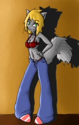 Size: 816x1280 | Tagged: safe, alternate version, artist:darkminou, oc, oc only, cat, feline, mammal, anthro, 2007, bottomwear, bra, clothes, collar, colored, female, hand on hip, pants, shoes, smiling, solo, solo female, tail, traditional art, underwear