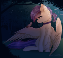 Size: 1600x1487 | Tagged: safe, artist:miralichan, oc, oc only, oc:evensong, bird, equine, fictional species, mammal, pegasus, pony, feral, hasbro, my little pony, collar, commission, female, fur, hair, multicolored hair, night, outdoors, pink hair, purple eyes, purple hair, sitting, solo, solo female, spread wings, squinting, tree, two toned hair, wings, ych result, yellow body, yellow fur
