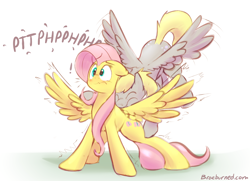 Size: 1418x1027 | Tagged: safe, artist:braeburned, derpy hooves (mlp), fluttershy (mlp), equine, fictional species, mammal, pegasus, pony, feral, friendship is magic, hasbro, my little pony, 2013, :t, blowing raspberry, blushing, cute, cutie mark, derpyshy (mlp), digital art, duo, duo female, ears laid back, exclamation point, eyes closed, feathered wings, feathers, female, female/female, females only, feral/feral, floppy ears, flying, fur, hair, mare, motorboating, onomatopoeia, pink hair, puffy cheeks, raspberry, raspberry noise, shipping, signature, smiling, spread wings, surprised, tail, teal eyes, text, wavy mouth, wide eyes, wing motorboating, wingboner, wings, yellow feathers, yellow fur, yellow hair