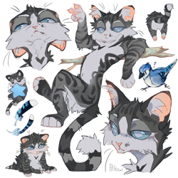 Size: 2000x2000 | Tagged: safe, artist:graypillow, jayfeather (warrior cats), bird, blue jay, cat, corvid, feline, jay, mammal, songbird, feral, semi-anthro, warrior cats, 2020, birdified, blue eyes, cute, feathers, fur, gray fur, high res, kitten, male, paw pads, paws, self paradox, sitting, solo, solo male, species swap, star, stick, tail, young