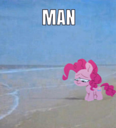 Size: 3186x3500 | Tagged: safe, artist:jimmyjamno1, pinkie pie (mlp), earth pony, equine, fictional species, mammal, pony, feral, friendship is magic, hasbro, my little pony, beach, blurry, caption, chibi, english text, female, frowning, high res, image macro, irl, lidded eyes, looking down, man (meme), mare, meme, ocean, photo, sad, solo, solo female, text, water