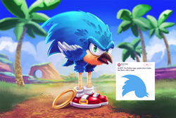 Size: 1200x800 | Tagged: safe, artist:tsaoshin, sonic the hedgehog (sonic), bird, bluebird, songbird, feral, sega, sonic the hedgehog (series), twitter, 2018, beak, birdified, blue feathers, clothes, feathered wings, feathers, feralized, green eyes, male, not salmon, open beak, open mouth, orange feathers, outdoors, palm tree, ring (sonic), shoes, signature, sneakers, solo, solo male, species swap, tree, twitter logo, wat, white feathers, wings, yellow body