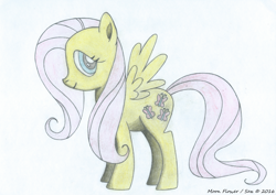 Size: 7016x4980 | Tagged: safe, artist:moon flower, furbooru exclusive, fluttershy (mlp), arthropod, butterfly, equine, fictional species, insect, mammal, pegasus, pony, feral, series:moon flower's fluttershy, friendship is magic, hasbro, my little pony, 2016, absurd resolution, colored, coloured pencil drawing, cutie mark, female, fur, hair, hooves, looking at you, mane, on model, pencil drawing, pink hair, pink tail, side view, signature, simple background, smiling, solo, solo female, spread wings, standing, tail, traditional art, tutorial result, white background, wings, yellow fur