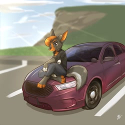 Size: 1250x1250 | Tagged: safe, artist:louart, canine, mammal, wolf, anthro, black body, black fur, bottomwear, brown body, brown fur, brown hair, car, clothes, ears, fur, gray body, gray fur, hair, jacket, jeans, male, pants, paws, sitting, solo, solo male, tal, topwear, vehicle