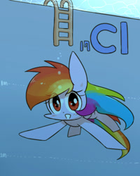 Size: 800x1000 | Tagged: safe, artist:joycall6, part of a set, rainbow dash (mlp), equine, fictional species, mammal, pegasus, pony, feral, series:joycall6's periodic table, friendship is magic, hasbro, my little pony, blushing, chlorine, cute, female, ladder, mare, periodic table, solo, solo female, swimming, swimming pool, underwater, water