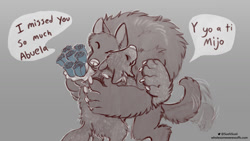 Size: 1227x690 | Tagged: safe, artist:naoma hiru, oc, oc:iso (naoma-hiru), canine, fictional species, mammal, werewolf, feral, series:wholesome werewuffs, 2020, arm fluff, back fluff, big arms, bouquet, cheek fluff, claws, dialogue, digital art, duo, english text, eyes closed, family, female, flower, fluff, grandmother, grandson, gray background, hug, male, paw pads, paws, simple background, size difference, smiling, spanish text, speech bubble, tail, tail fluff, tail wag, talking