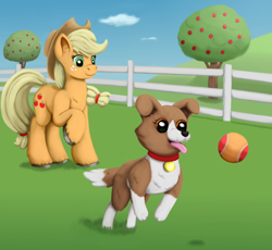 Size: 1500x1379 | Tagged: safe, artist:redquoz, applejack (mlp), winona (mlp), border collie, canine, collie, dog, earth pony, equine, fictional species, mammal, pony, feral, friendship is magic, hasbro, my little pony, apple orchard, apple tree, ball, brown fur, clothes, cloud, collar, cutie mark, duo, eyelashes, female, female focus, fence, fetch, freckles, fur, grass, hair, hat, orange eyes, orange fur, outdoors, pet tag, raised leg, solo focus, tail, tennis ball, tongue, tongue out, tree, white fur, yellow eyes