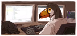 Size: 1800x857 | Tagged: safe, artist:mlice, oc, oc:soprano, bird, cat, feline, mammal, toco toucan, toucan, anthro, feral, 2020, beak, bird feet, black feathers, black fur, blue eyes, chair, claws, clothes, computer, digital art, duo, feathers, fluff, fur, glasses, head fluff, indoors, keyboard, laptop, looking at something, male, monitor, neck fluff, non-sapient, screen, shirt, signature, sitting, sleeping, solo focus, topwear, whiskers, white feathers, working, yellow feathers