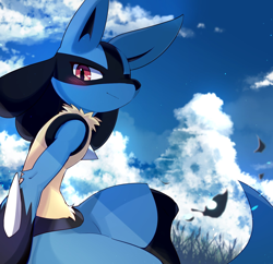 Size: 1782x1728 | Tagged: safe, artist:for_the_twinkle, fictional species, lucario, mammal, anthro, nintendo, pokémon, 2020, ambiguous gender, arm fluff, belly fluff, black fur, blue fur, blushing, cloud, cream body, cream fur, fluff, fur, grass, kemono, leaf, looking at you, neck fluff, outdoors, red eyes, side view, sitting, sky, smiling, solo, solo ambiguous, tail, wind