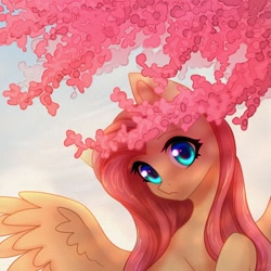Size: 1280x1280 | Tagged: safe, artist:avrameow, fluttershy (mlp), equine, fictional species, mammal, pegasus, pony, feral, friendship is magic, hasbro, my little pony, 2020, female, looking at you, solo, solo female, teal eyes