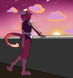 Size: 1214x1288 | Tagged: safe, artist:munks, cat, feline, mammal, anthro, plantigrade anthro, butt, male, shooting star, solo, solo male, star, sunset