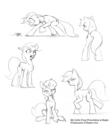 Size: 833x978 | Tagged: safe, artist:baron engel, oc, oc:petina, arachnid, arthropod, equine, fictional species, mammal, pony, spider, unicorn, feral, hasbro, my little pony, 2012, angry, lidded eyes, looking at you, scared, sketch, smiling, story at source, traditional art, wide eyes
