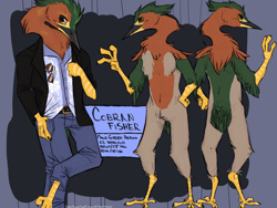 Size: 1400x1050 | Tagged: safe, artist:inkbird, oc, oc only, oc:cobran fisher, bird, green heron, heron, anthro, 2015, abstract background, amber eyes, barefoot, beak, belt, bird feet, bird hands, bottomwear, clothes, complete nudity, digital art, english text, feathers, featureless crotch, fluff, front view, glasses, green feathers, long neck, male, nudity, orange feathers, pants, pubic fluff, rear view, reference sheet, shirt, solo, solo male, sunglasses, tail, tail feathers, tan feathers, topwear, yellow body