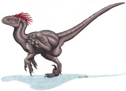 Size: 894x649 | Tagged: safe, artist:ixerin, dinosaur, raptor, theropod, utahraptor, feral, 2009, ambiguous gender, paws, underpaw