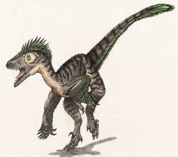 Size: 800x705 | Tagged: safe, artist:ixerin, oc, oc:ixerin (ixerin), deinonychus, dinosaur, raptor, theropod, feral, 2006, female, open mouth, solo, solo female