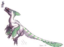 Size: 900x667 | Tagged: safe, artist:ixerin, arthropod, deinonychus, dinosaur, dragonfly, insect, raptor, theropod, feral, 2009, ambiguous gender, jumping, signature, simple background, solo, solo ambiguous, white background