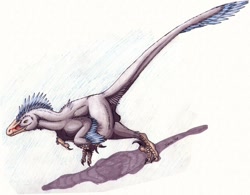 Size: 960x749 | Tagged: safe, artist:ixerin, dinosaur, raptor, theropod, utahraptor, feral, 2008, ambiguous gender, solo, solo ambiguous