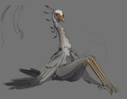 Size: 1280x1001 | Tagged: dead source, suggestive, artist:libido, bird, bird of prey, secretary bird, anthro, beak, bedroom eyes, butt, claws, doodle, feathered wings, feathers, female, nudity, sitting, smiling, solo, solo female, tail, tail feathers, talons, wings