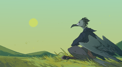 Size: 2400x1317 | Tagged: safe, artist:kate-venom, bird, seagull, anthro, clothes, feathered wings, feathers, female, grass, plains, scenery, sun, tail, tail feathers, wings