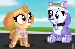 Size: 2020x1315 | Tagged: safe, artist:rainbow eevee, everest (paw patrol), skye (paw patrol), canine, cockapoo, dog, husky, mammal, nordic sled dog, feral, nickelodeon, paw patrol, clothes, cloud, collar, duo, duo female, female, female/female, females only, hat, shipping, skeverest (paw patrol), sky, tail