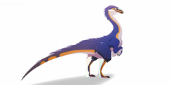 Size: 2000x1000 | Tagged: safe, artist:dinkysaurusart, oc, oc:dinky (dinkysaurusart), dinosaur, feathered dinosaur, gallimimus, reptile, theropod, feral, 2020, blue feathers, claws, digital art, feathers, female, orange feathers, reptile feet, side view, simple background, solo, solo female, species swap, standing, white background, white feathers, winged arms, wings