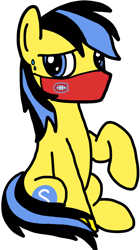 Size: 4172x7462 | Tagged: safe, artist:mrstheartist, oc, oc only, oc:ponyseb 2.0, equine, fictional species, mammal, pegasus, pony, feral, friendship is magic, hasbro, montreal canadiens, my little pony, absurd resolution, covid-19, face mask, male, simple background, stallion, sweat, transparent background, worried