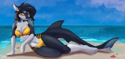 Size: 4096x1940 | Tagged: safe, artist:ignis1163, oc, oc only, fish, shark, anthro, digitigrade anthro, 2021, adorasexy, bared teeth, beach, beach babe, bedroom eyes, belly button, big breasts, bikini, black body, black hair, blue skin, body markings, breasts, butt, clam, claws, cleavage, clothes, curvy, cute, digital art, ear piercing, eyelashes, facial markings, female, fin piercing, fins, fish tail, gloves (arm marking), grin, hair, legs, legwear, looking at you, looking away, lying down, midriff, multicolored body, ocean, on side, pale belly, panties, paws, piercing, pose, sand, seashell, seductive, sexy, shark tail, sharp teeth, smiling, smirk, snaggletooth, socks (leg marking), solo, solo female, swimsuit, tail, tail fin, tail piercing, teeth, thick thighs, thigh gap, thigh highs, thighs, thong, thong swimsuit, underass, unzipped, water, white body, white skin, wide hips, yellow eyes, zipper