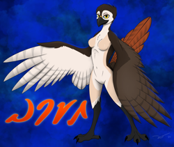 Size: 3200x2700 | Tagged: safe, artist:aidan-gull, oc, oc:mira (praxos), bird, bird of prey, hawk, red-tailed hawk, anthro, 2021, beak, bird feet, blue sclera, breasts, claws, colored sclera, feathered wings, feathers, featureless breasts, featureless crotch, female, high res, signature, solo, solo female, spread wings, standing, winged arms, wings, yellow eyes