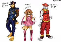 Size: 1280x886 | Tagged: safe, artist:miyukiaya, chase (paw patrol), marshall (paw patrol), skye (paw patrol), canine, cockapoo, dalmatian, dog, german shepherd, mammal, anthro, digitigrade anthro, nickelodeon, paw patrol, black nose, character name, clothes, collar, digital art, ears, female, fur, hat, helmet, japanese text, korean text, looking at you, male, older, simple background, suit, text, translation request