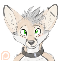 Size: 620x620 | Tagged: safe, artist:gothicsiamese, oc, oc only, oc:vander, canine, fennec fox, fox, hybrid, mammal, maned wolf, anthro, 2017, bust, cheek fluff, collar, colored sketch, cute, digital art, ear piercing, fluff, front view, fur, green eyes, hair, looking at you, male, patreon logo, piercing, portrait, signature, simple background, sketch, solo, solo male, white background