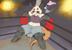Size: 1736x1224 | Tagged: safe, artist:chochi, lily possum (poppy o'possum), poppy o'possum (poppy o'possum), mammal, marsupial, opossum, anthro, poppy o'possum, black lips, blood, bottomwear, boxing, boxing gloves, boxing ring, bruised, clothes, daughter, dot eyes, dress, duo, duo female, eyepatch, female, females only, gloves, hurt, indoors, mother, mother and child, mother and daughter, nosebleed, shorts, sitting, sports bra, spotlight, stool, tail, topwear