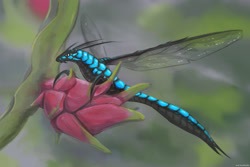 Size: 1280x853 | Tagged: safe, artist:lady-darkstreak, arthropod, dragonfly, insect, feral, 2021, ambiguous gender, antennae, black body, blue body, close-up, digital art, digital painting, dragon fruit, food, fruit, micro, side view, solo, solo ambiguous, spread wings, webbed wings, wings