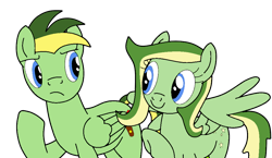 Size: 1024x592 | Tagged: safe, artist:didgereethebrony, artist:katnekobase, oc, oc only, oc:boomerang beauty, oc:didgeree, equine, fictional species, mammal, pegasus, pony, feral, friendship is magic, hasbro, my little pony, 2021, brother, brother and sister, duo, feathered wings, feathers, female, male, mare, siblings, simple background, sister, stallion, tail, transparent background, wings