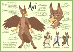 Size: 3300x2350 | Tagged: safe, artist:corviforms, oc, oc only, oc:avi (corviforms), bird, feline, fictional species, gryphon, mammal, anthro, digitigrade anthro, beak, bird hands, bottomwear, brown body, brown feathers, brown fur, carrot, character name, cheek fluff, clothes, colored sclera, complete nudity, dress, english text, feathered wings, feathers, featureless crotch, female, female symbol, flat chest, fluff, food, front view, fur, gender symbol, glasses, green eyes, hat, head fluff, high res, lab coat, nudity, outfit, pants, paws, pendant, pointy ears, reference sheet, shirt, shorts, solo, solo female, spread wings, standing, tail, tail feathers, text, topwear, vegetables, whiskers, wings