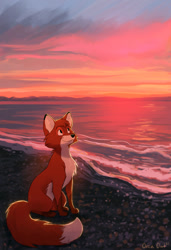 Size: 700x1023 | Tagged: safe, artist:orcaowl, canine, fox, mammal, feral, 2021, ambiguous gender, beach, cheek fluff, chest fluff, digital art, fluff, fur, head fluff, outdoors, paws, red body, red fur, side view, signature, sitting, solo, solo ambiguous, sunset, tail, tail fluff, water, white body, white fur