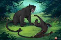Size: 1500x991 | Tagged: safe, artist:lynxgirl, bagheera (adventures of mowgli), bagheera (the jungle book), big cat, black panther, feline, mammal, feral, adventures of mowgli, disney, the jungle book, 2021, digital art, duo, female, grass, jungle, legs in air, lying down, male, on side, patreon logo, paw pads, paws, sitting, tail, whiskers, yellow eyes