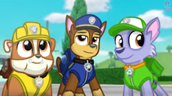 Size: 1280x719 | Tagged: safe, artist:rainbow eevee, chase (paw patrol), rocky (paw patrol), rubble (paw patrol), bulldog, canine, dog, german shepherd, mammal, mutt, feral, nickelodeon, paw patrol, 2021, black nose, clothes, digital art, ears, fur, group, helmet, looking at you, male, males only, police hat, suit, tail, trio, trio male