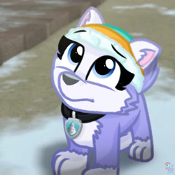 Size: 1280x1280 | Tagged: safe, artist:rainbow eevee, everest (paw patrol), canine, dog, husky, mammal, nordic sled dog, feral, nickelodeon, paw patrol, 2020, beanie, black nose, clothes, collar, digital art, ears, female, fur, looking at you, looking up, looking up at you, sad, solo, solo female, suit, tail