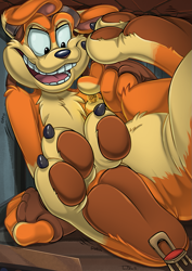 Size: 777x1100 | Tagged: safe, artist:teaselbone, daxter (jak and daxter), fictional species, mammal, ottsel, anthro, jak and daxter, macro, male