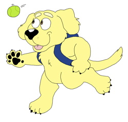 Size: 2152x2056 | Tagged: safe, artist:toonidae, lucky (bluey), canine, dog, golden retriever, mammal, semi-anthro, bluey (series), 2d, front view, high res, male, paw pads, paws, puppy, simple background, solo, solo male, tennis ball, three-quarter view, white background, young