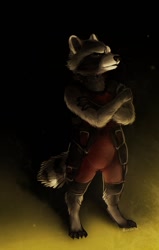 Size: 815x1280 | Tagged: safe, artist:pig, rocket raccoon (marvel), mammal, procyonid, raccoon, anthro, digitigrade anthro, guardians of the galaxy, marvel, 2014, black nose, brown body, brown fur, cheek fluff, clothes, cream body, cream fur, crossed arms, digital art, fluff, front view, fur, gray body, gray fur, ringtail, signature, standing, tail, tail fluff, three-quarter view, whiskers