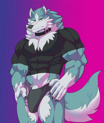 Size: 4248x5000 | Tagged: suggestive, artist:intimatewolf, shirou ogami (bna), canine, mammal, wolf, anthro, bna: brand new animal, 2020, abs, absurd resolution, belly button, biceps, black nose, bulge, clothes, digital art, ears, erection, erection under clothes, fluff, fur, hand on hip, looking at you, male, muscles, neck fluff, nudity, pecs, penis, shirt, simple background, solo, solo male, speedo, tail, thighs, topwear