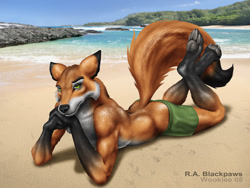 Size: 1200x900 | Tagged: suggestive, artist:wookiee, oc, oc:r.a. blackpaws, canine, fox, mammal, red fox, anthro, digitigrade anthro, 2008, beach, black body, black fur, eyebrows, fur, hands, looking at you, male, orange body, orange fur, partial nudity, paw pads, paws, photo background, pinup, sand, signature, solo, solo male, tail, topless, water, white body, white fur, yellow eyes