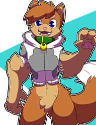 Size: 980x1280 | Tagged: suggestive, artist:munks, oc, oc only, cat, feline, mammal, anthro, blue eyes, bottomless, clothes, collar, fluff, hoodie, looking at you, male, nudity, partial nudity, pubic fluff, smiling, solo, solo male, topwear