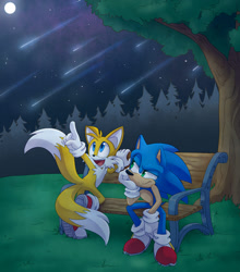Size: 1024x1164 | Tagged: safe, artist:aideneye, miles "tails" prower (sonic), sonic the hedgehog (sonic), canine, fox, hedgehog, mammal, red fox, anthro, plantigrade anthro, sega, sonic the hedgehog (series), 2021, bench, blue body, blue eyes, blue fur, clothes, dipstick tail, duo, duo male, fluff, fur, gloves, green eyes, male, males only, meteor shower, moon, multiple tails, night, night sky, orange tail, plant, quills, sitting, sky, sneakers, tail, tail fluff, tree, two tails, white gloves, white tail, yellow body, yellow fur