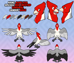 Size: 1280x1097 | Tagged: safe, artist:likeshine, oc, oc only, oc:manu koa, bird, cardinal, red-crested cardinal, songbird, feral, abstract background, beak, bird feet, black feathers, brown eyes, character name, color palette, feathers, fluff, front view, gray feathers, head fluff, male, open mouth, rear view, red feathers, reference sheet, signature, solo, solo male, spread wings, three-quarter view, tongue, white feathers, wings