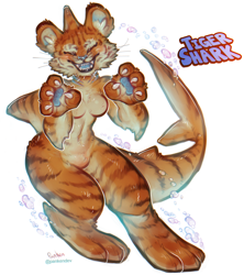Size: 2054x2314 | Tagged: safe, alternate version, artist:panken, oc, oc only, big cat, feline, fish, hybrid, mammal, shark, tiger, tiger shark, anthro, 2019, 3 toes, black outline, blue nose, blue paw pads, blushing, breasts, cheek fluff, claws, clothes, double outline, ear fluff, featureless breasts, featureless crotch, female, fins, fluff, fur, high res, nudity, open mouth, orange body, orange fur, paw pads, paws, round ears, simple background, solo, solo female, striped fur, underwater, water, whiskers, white background, white outline